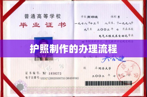 双河护照制作的办理流程
