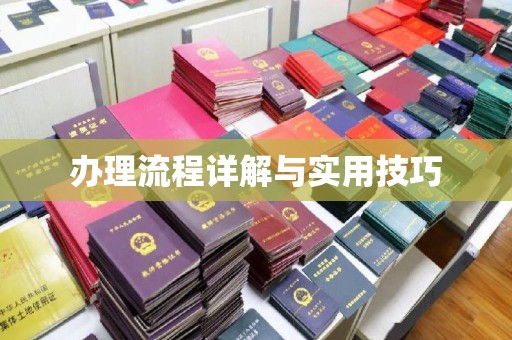 双河办理流程详解与实用技巧