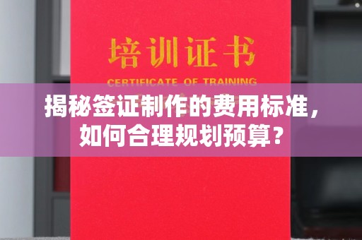双河揭秘签证制作的费用标准，如何合理规划预算？