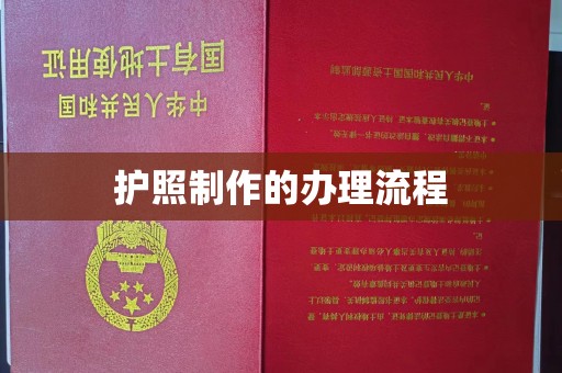 双河护照制作的办理流程