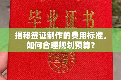 双河揭秘签证制作的费用标准，如何合理规划预算？