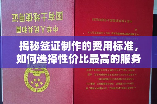 双河揭秘签证制作的费用标准，如何选择性价比最高的服务？