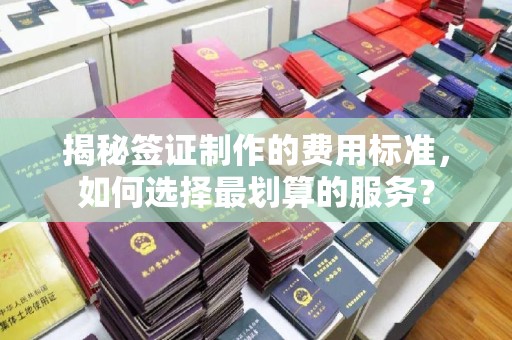 双河揭秘签证制作的费用标准，如何选择最划算的服务？
