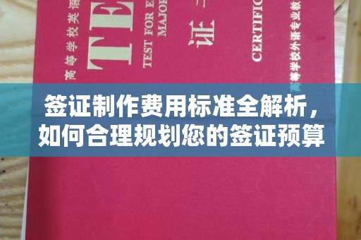 双河签证制作费用标准全解析，如何合理规划您的签证预算？
